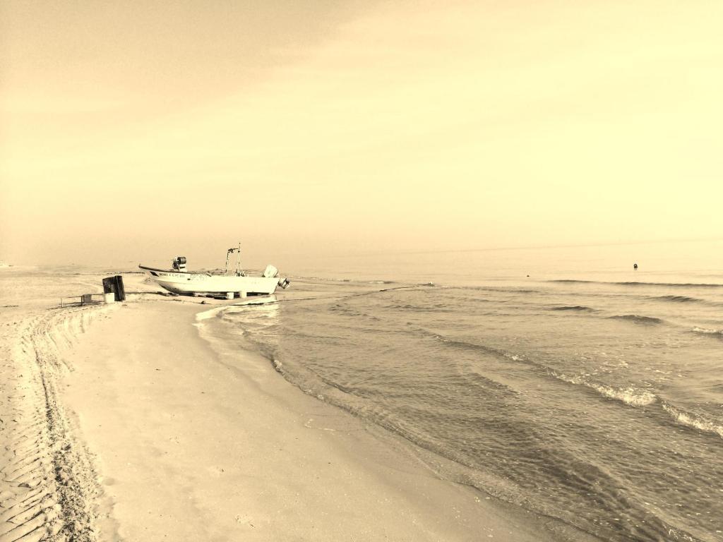 Hotel Florida Silvi Marina Dış mekan fotoğraf
